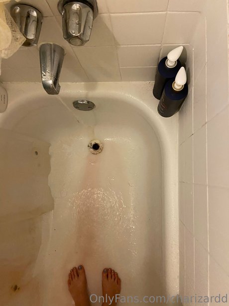 Charizard star adult photo