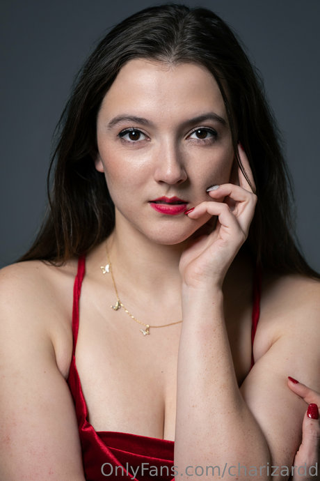 Charizard model top photo