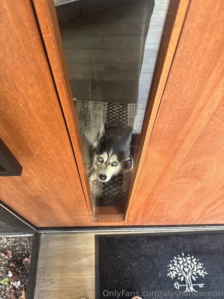 Alyshanewman model beautiful pics