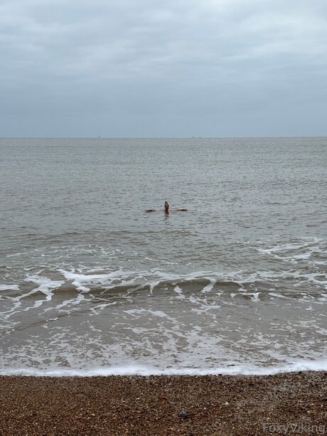 fitnessmodel onlyfans hot porn gallery