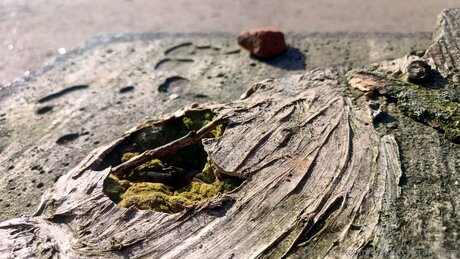 Alexbitchcraft4free model art pictures