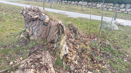 Alexbitchcraft4free art pornstar photos