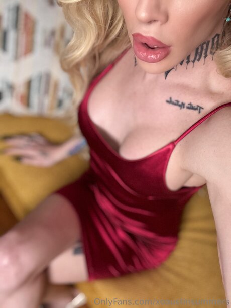 Xoaustinsummers model art image