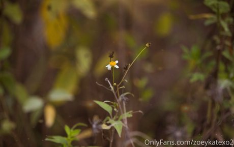 monster tits onlyfans nudes galleries