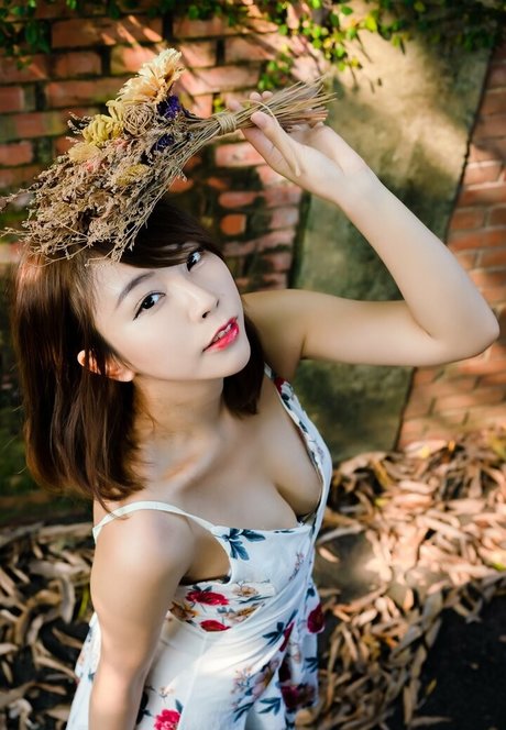 Zoeso star art images