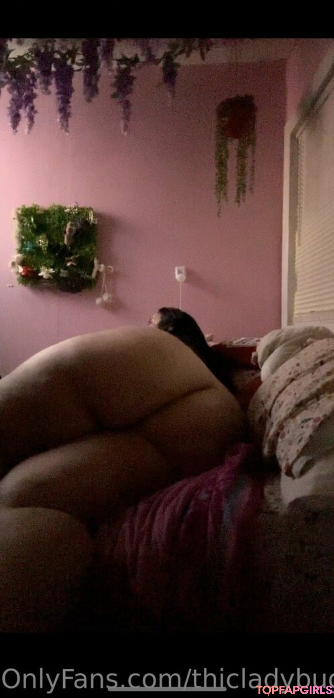 thicladybug hd pornstar images