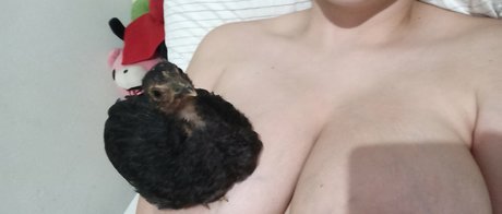 Alinorac profile image