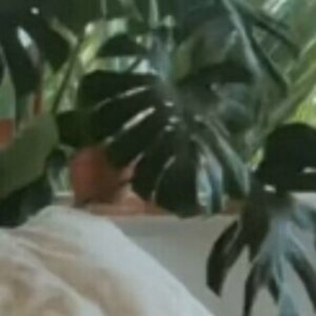 retro onlyfans nudes archive