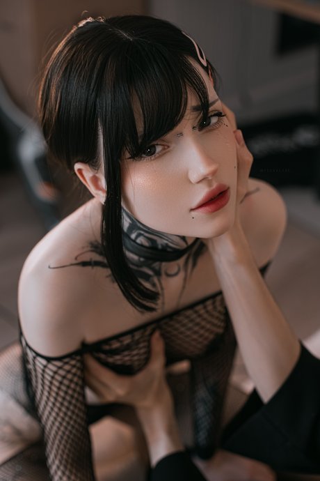 Vell Felice_ pornstar art galleries