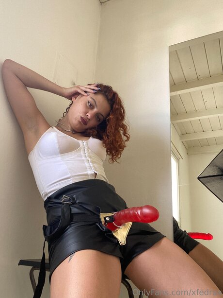 Xfedrax high quality model gallery