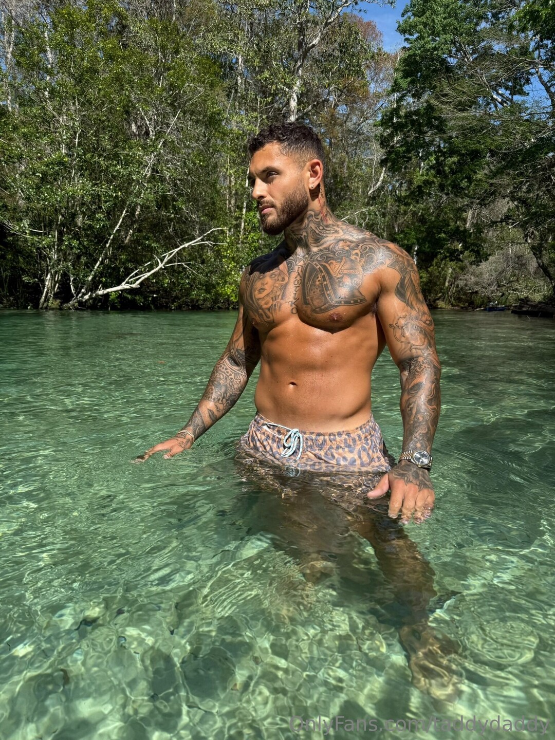 Taddydaddy perfect model image