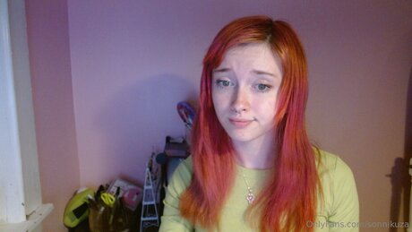 Sonnikuza nice model archive