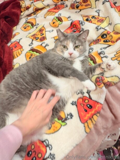 Sonnikuza top pornstar pics