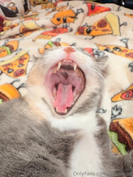 Sonnikuza hot model images