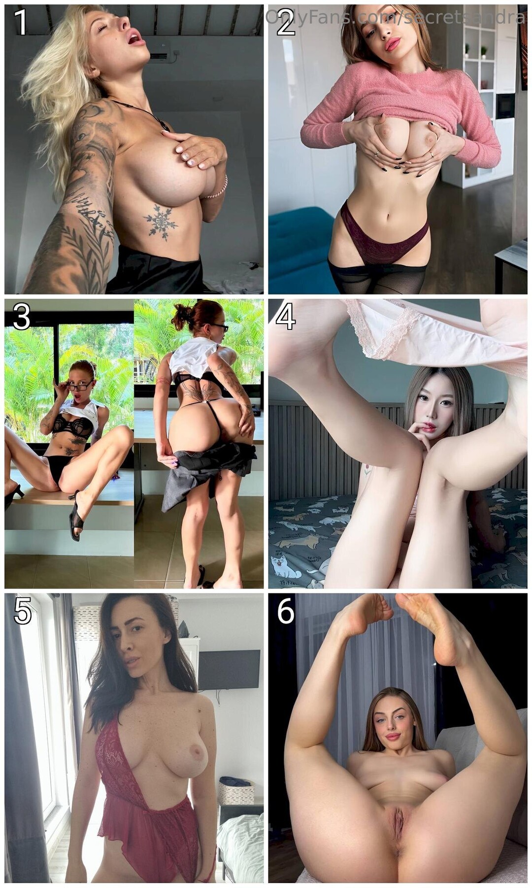 Secretsandra pornstar nude images