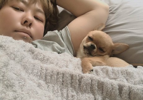 Pchan666 star beautiful images