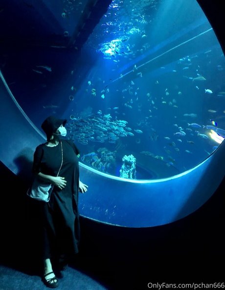 asian military onlyfans hot sex pics