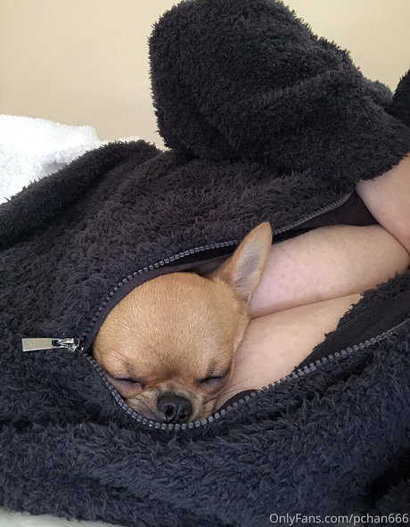 boy onlyfans free sex pic