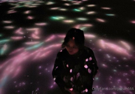 Pchan666 model top archive