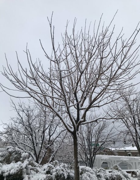 condom onlyfans hot nude picture