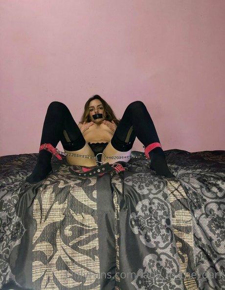 lady in the dark nice star galleries