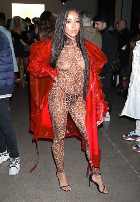 Tinashe model sexy pic