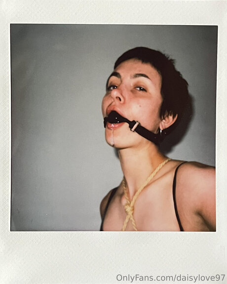 DaisyLove97 model best archive