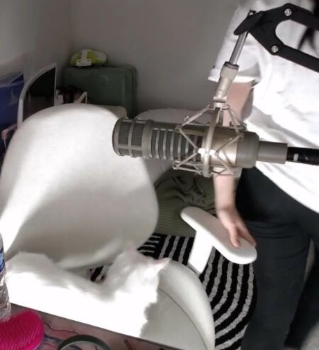 beach sex onlyfans top pictures