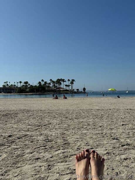 Sally Ride best pornstar img