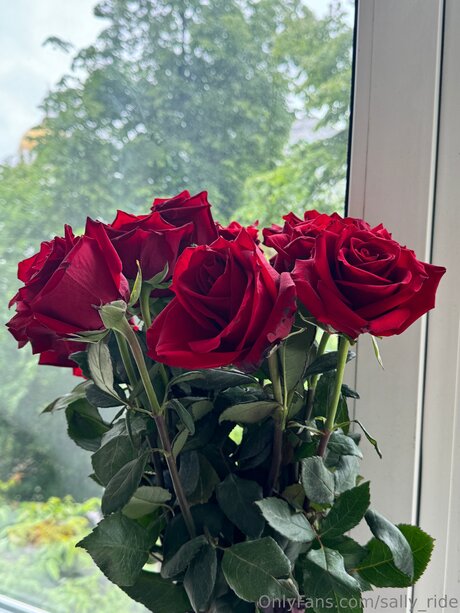 Sally Ride hd pornstar photos