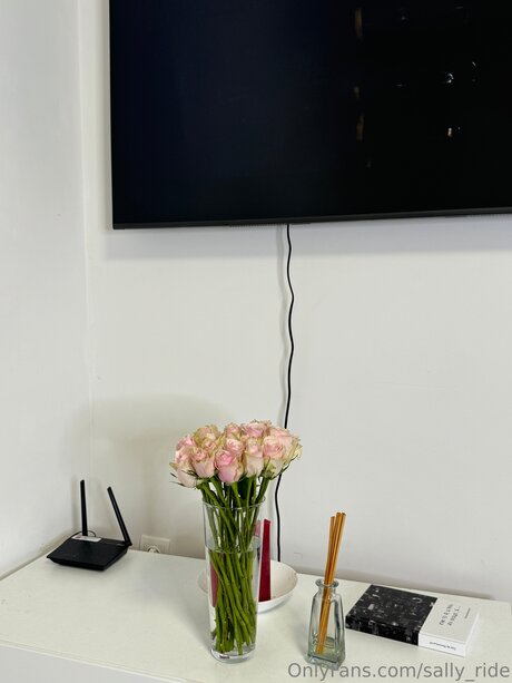 Sally Ride star pornographic pics