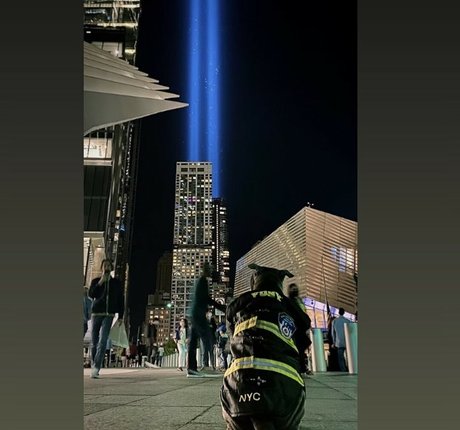 doctor onlyfans pornographic images