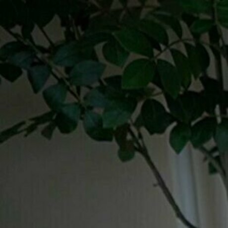 kaylee free free pornstar gallery