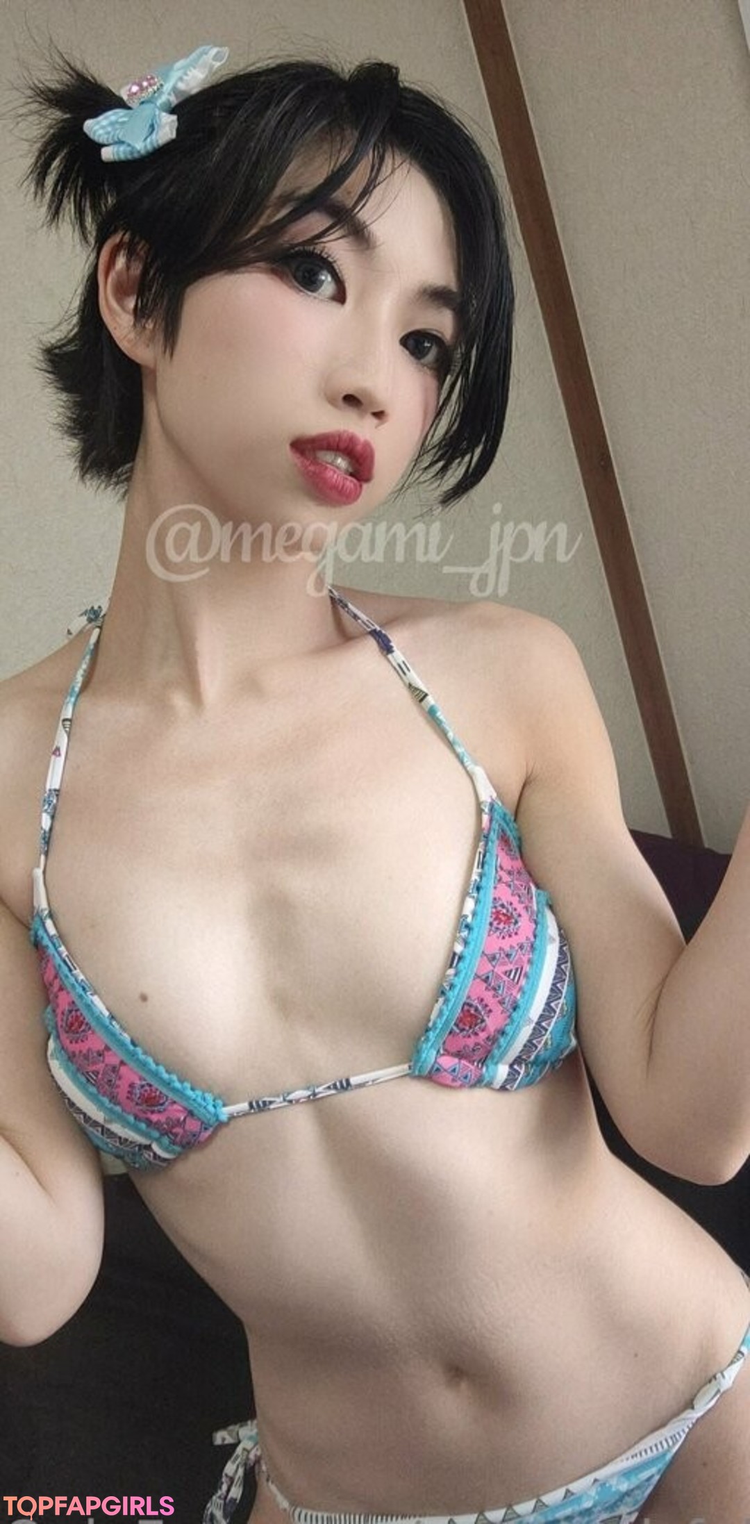 megami fuji model art pic