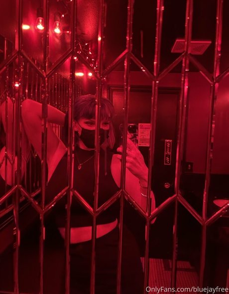 bluejayfree star pretty image