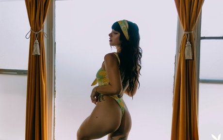 Reed Suicide sexy star pictures