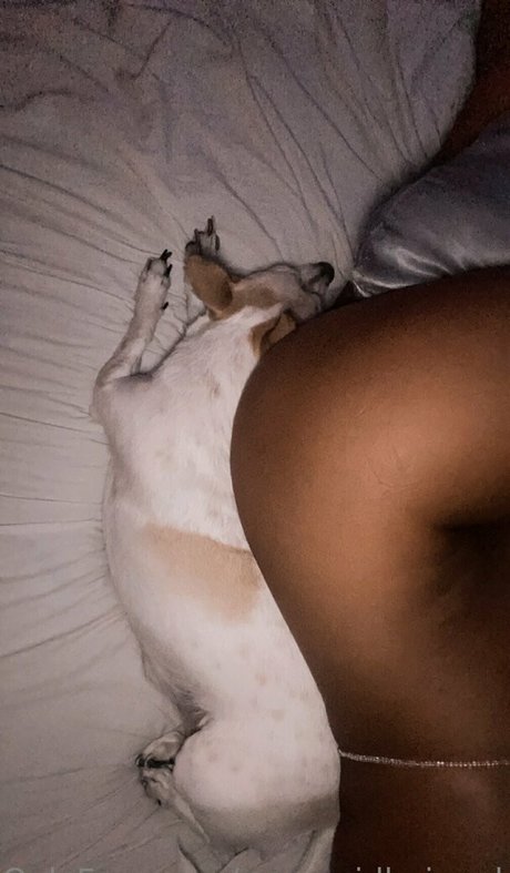 Sydney Fuller Marr profile image