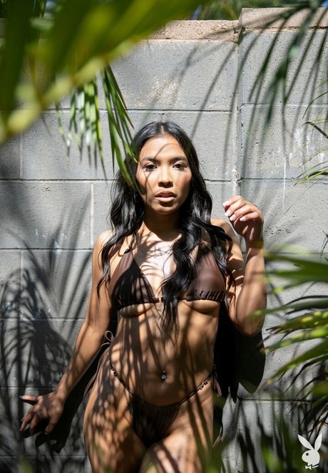 Jada Kai pornstar pretty image