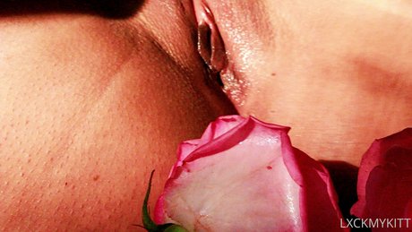 gay cock onlyfans porno pics