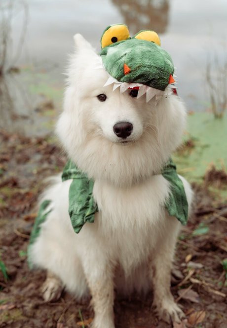 milf pawg onlyfans free xxx pictures