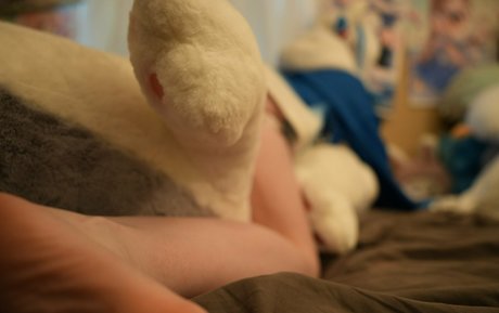 trans dominatrix onlyfans erotic archive