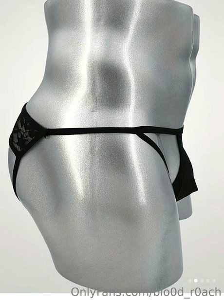 blo0d r0ach pornstar erotic archive