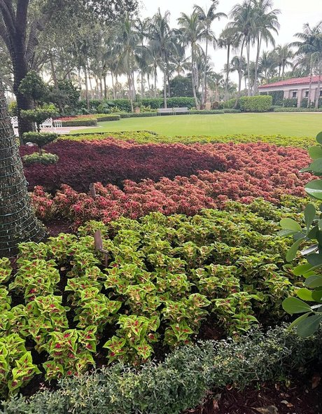 briteresifree xxx model archive