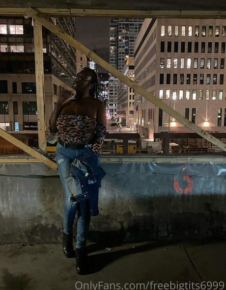 freebigtits6999 pornstar perfect img