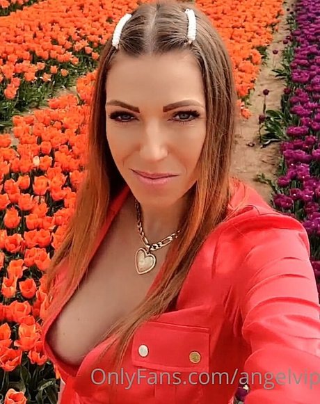 Angel Vip xxx pornstar galleries
