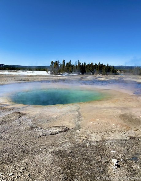 Alexchov free actress gallery