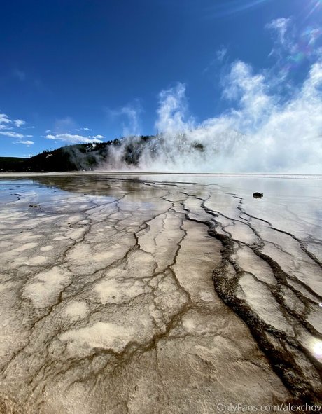 Alexchov top pornstar galleries