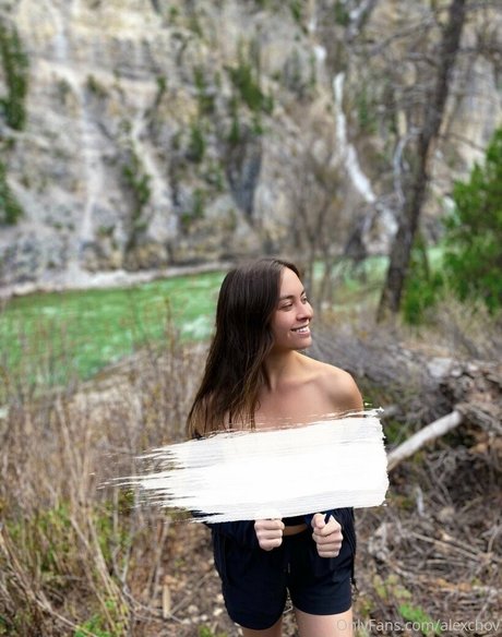 Alexchov model pretty pictures