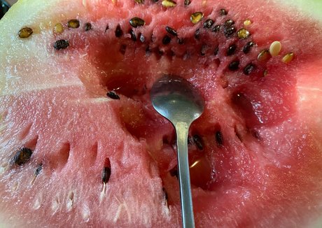 Lissaviip beautiful pornstar picture