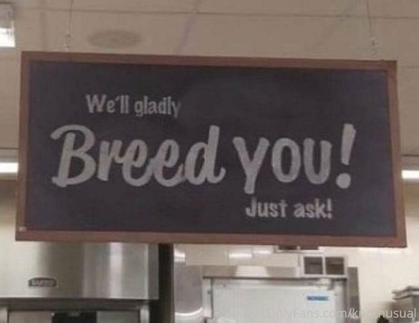 kasiorat star perfect galleries